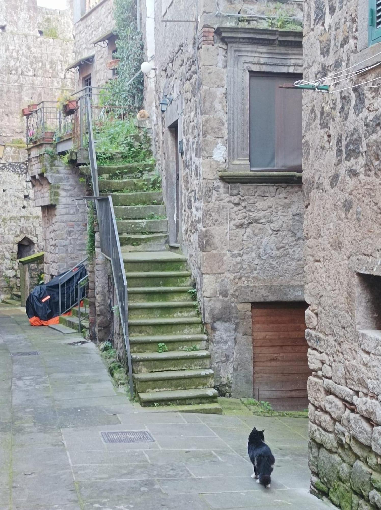 Sospesi Nel Borgo Vitorchiano Exterior photo